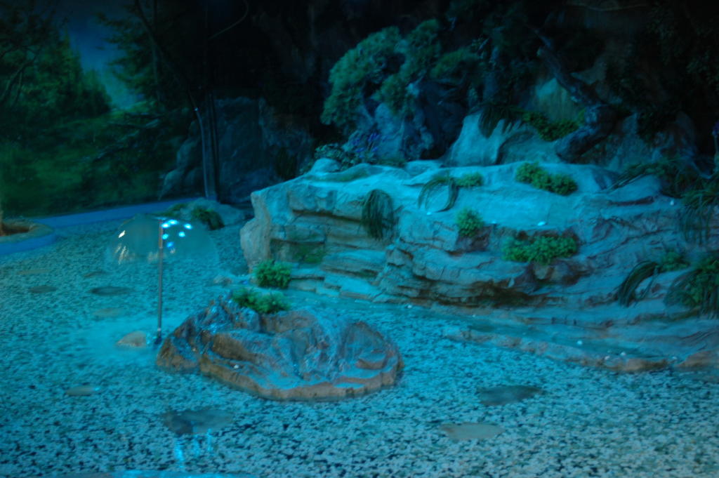 Itaewon Land Spa & Guesthouse โซล ภายนอก รูปภาพ